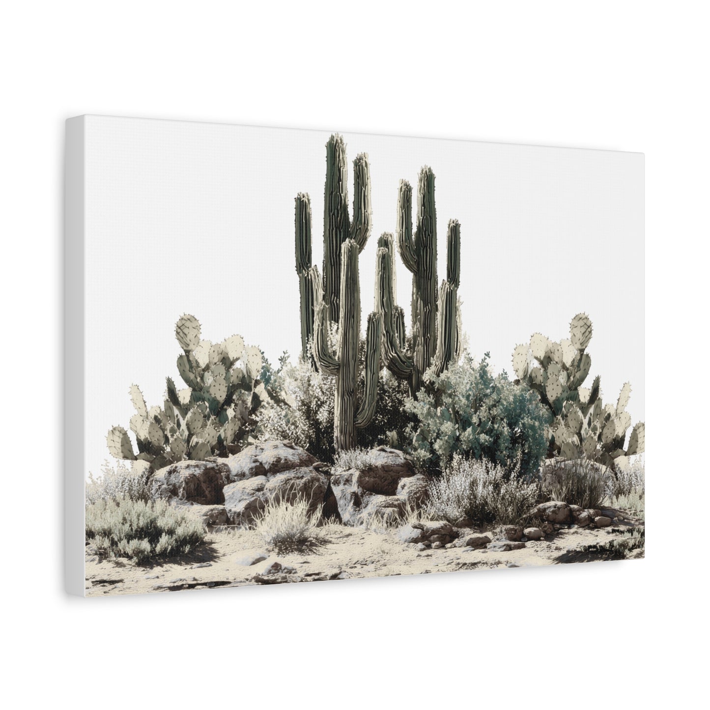 Cactus Rock Garden Matte Canvas Print — Stretched 1.25"