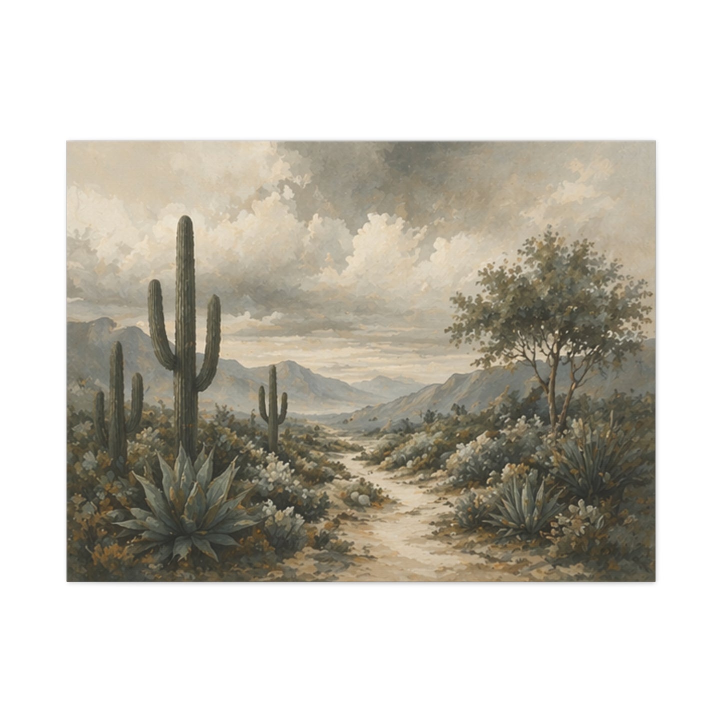 Desert Succulents Matte Canvas Print — Sunlit Modern Wall Art (Stretched 1.25")