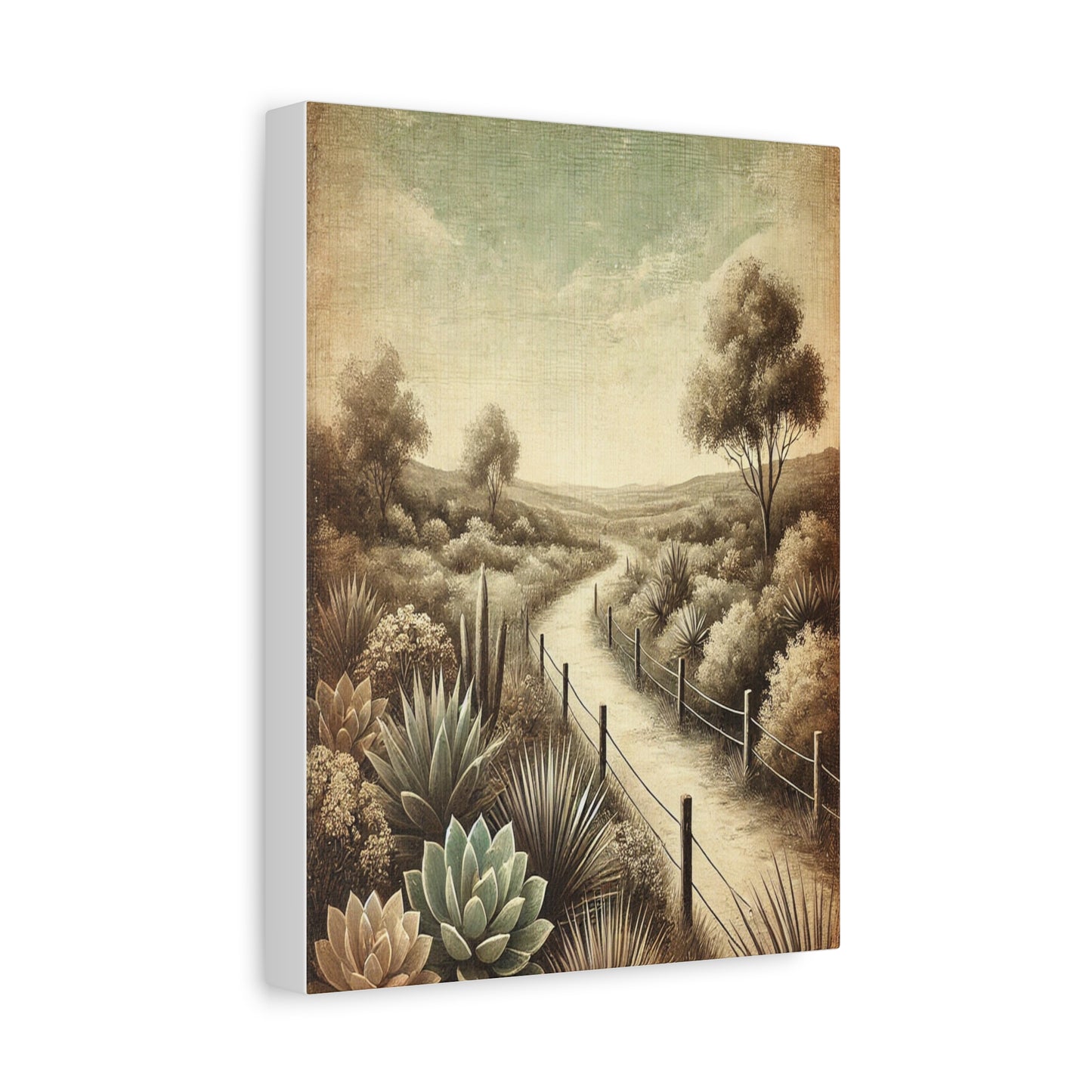 Succulent Garden Walkway Canvas Artwork