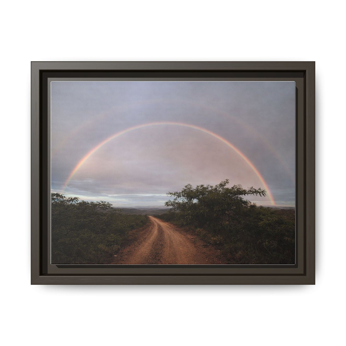 Canvas Wall Art — "Road Beneath the Rainbow" Framed Matte Print