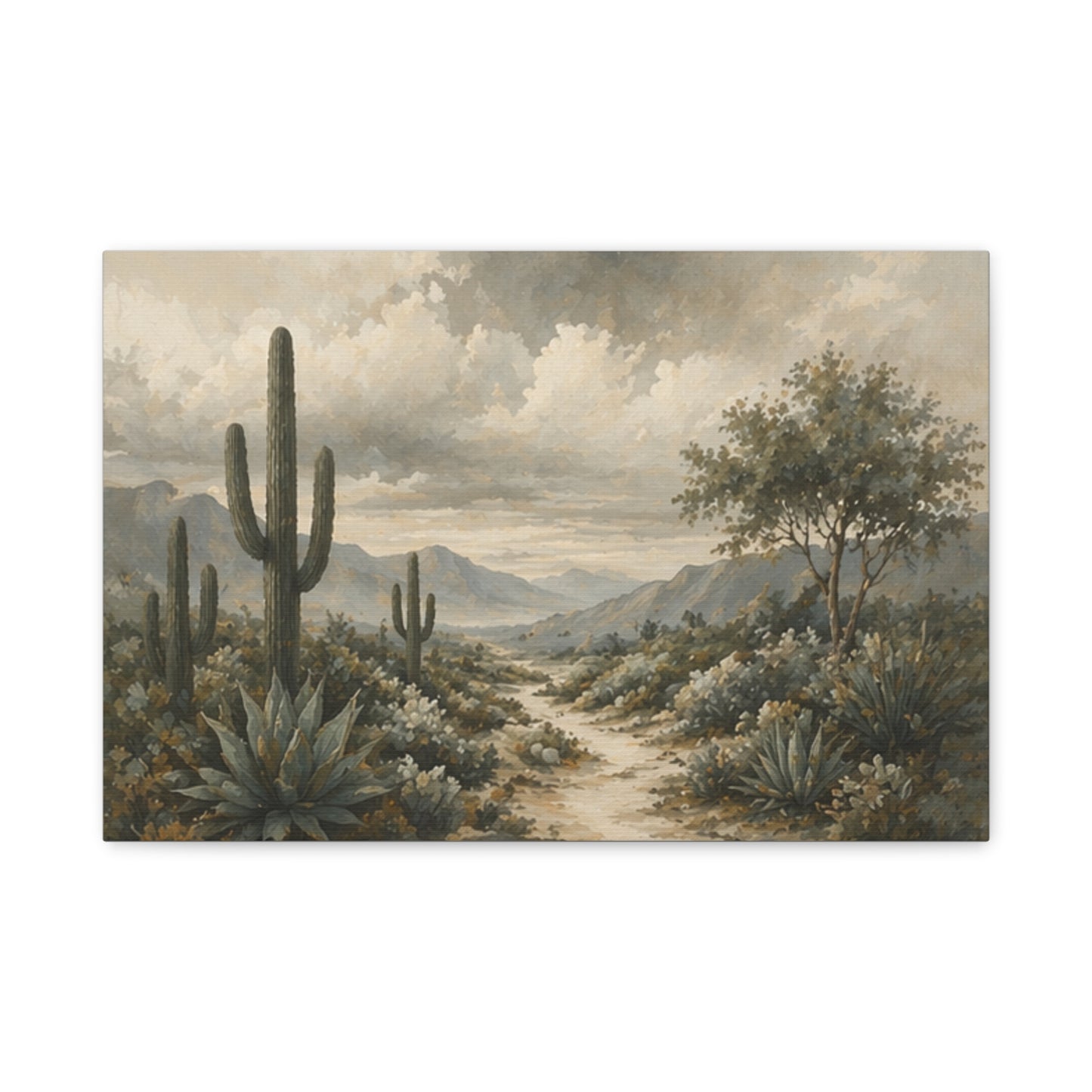 Desert Succulents Matte Canvas Print — Sunlit Modern Wall Art (Stretched 1.25")