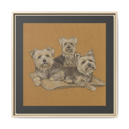 Yorkshire Terrier Trio Matte Canvas Print — Framed Dog Wall Art on Tan Cushion